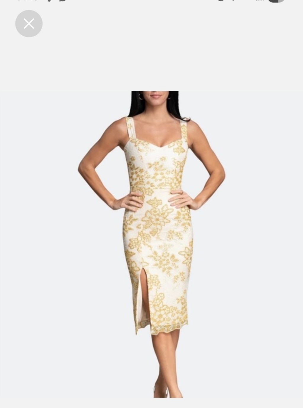 Nwt Dress The Population Cream And Gold Floral Midi Sheath Dress